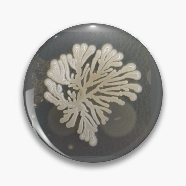 Item preview, Branching colony on PCA designed and sold by Fromthelab.
