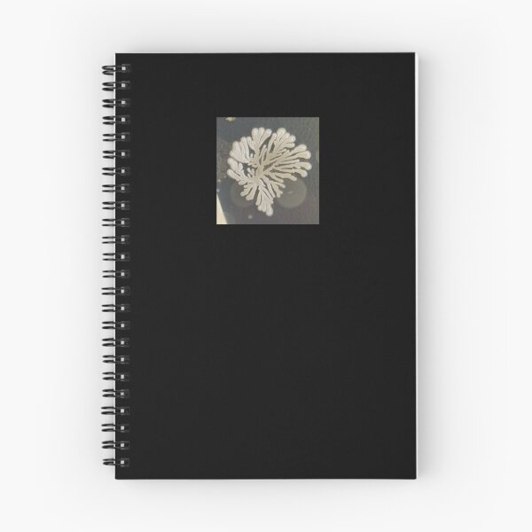 Item preview, Branching colony on PCA designed and sold by Fromthelab.