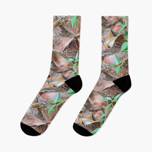 Item preview, Greenery on a palm tree designed and sold by veraD58.