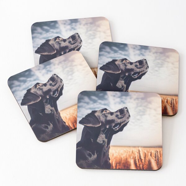 Item preview, Black Labrador in a Wheat Field at Twilight - Dog Art designed and sold by Woof-n-Wear.