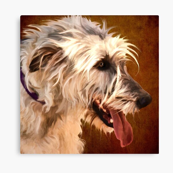 "Luck of the Irish Wolfhound" Canvas Print