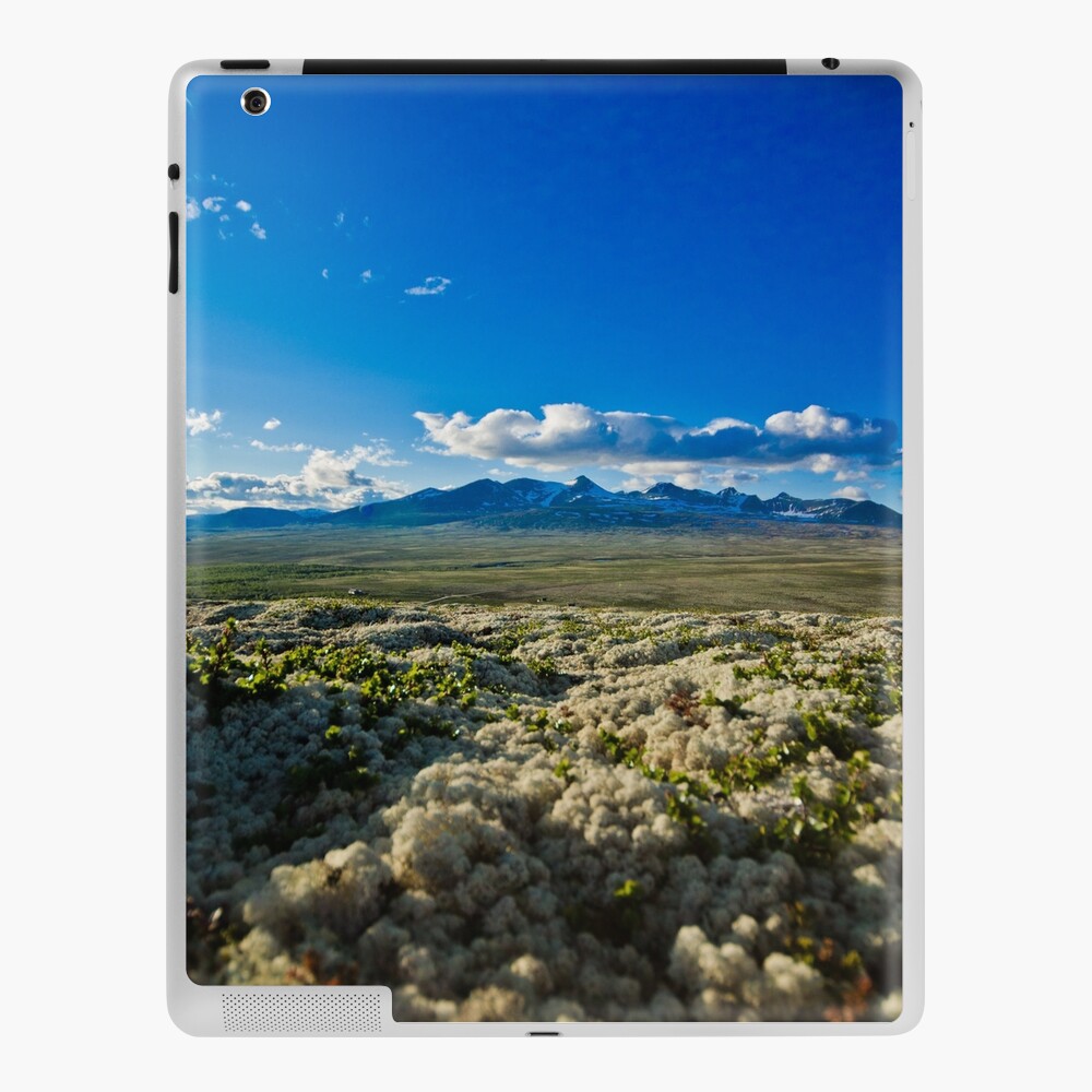 Item preview, iPad Skin designed and sold by poetic.