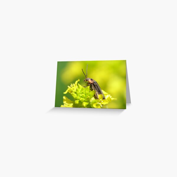 Eye On You Greeting Card