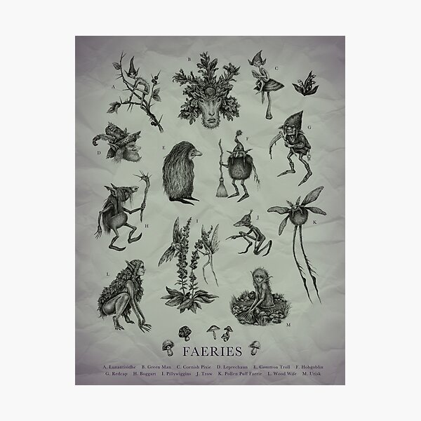 Item preview, Types of Faeries designed and sold by Brett Manning.