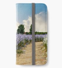 Coloured Landscape iPhone Wallet/Case/Skin