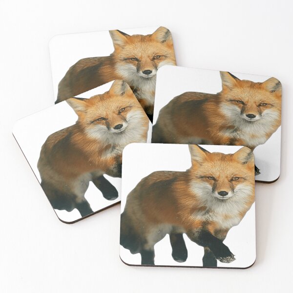Item preview, brown white bellied fox strolling designed and sold by JedediahRo77.