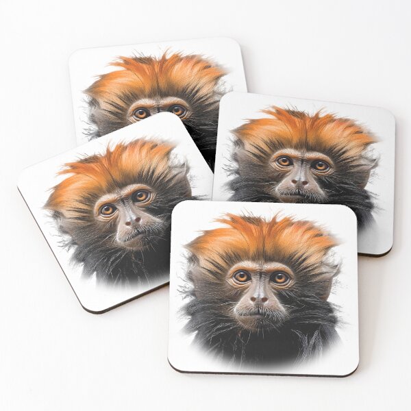 Item preview, close up of a monkey - Different logo size, position? Email me - designed and sold by Picture-Art.