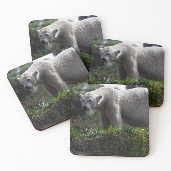 Item preview, Polar Bear's Intense Gaze designed and sold by NatureSouvenirs.