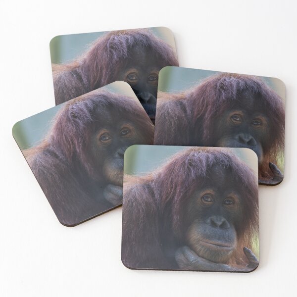 Item preview, Close-Up of the Orangutan designed and sold by NatureSouvenirs.