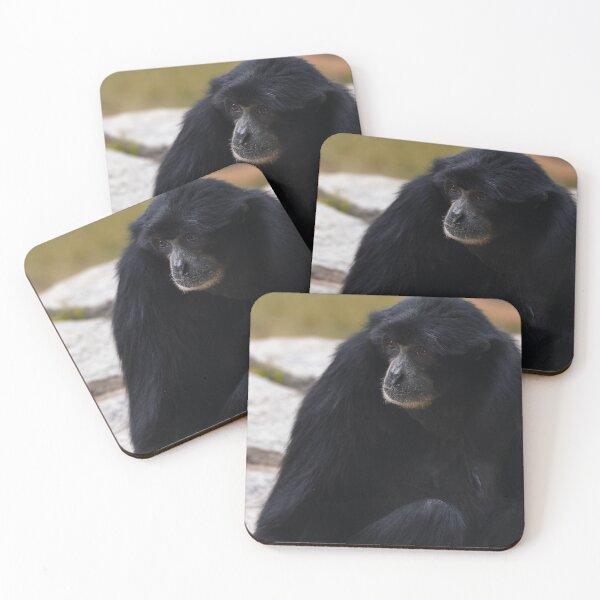 Item preview, Close-Up of the Siamang Gibbon designed and sold by NatureSouvenirs.