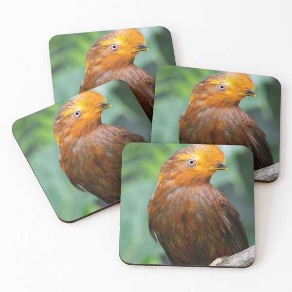 Item preview, The Andean Cock-of-the-Rock in Vibrant Glory designed and sold by NatureSouvenirs.