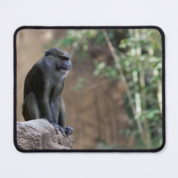 Item preview, Allen's Swamp Monkey in Captivating Detail designed and sold by NatureSouvenirs.