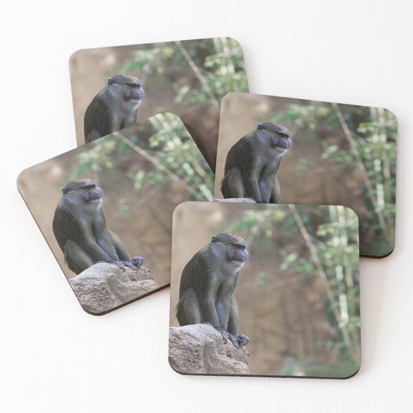 Item preview, Allen's Swamp Monkey in Captivating Detail designed and sold by NatureSouvenirs.
