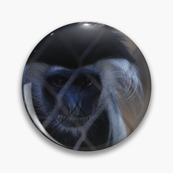 Item preview, The Angola Colobus Behind Prison Bars designed and sold by NatureSouvenirs.