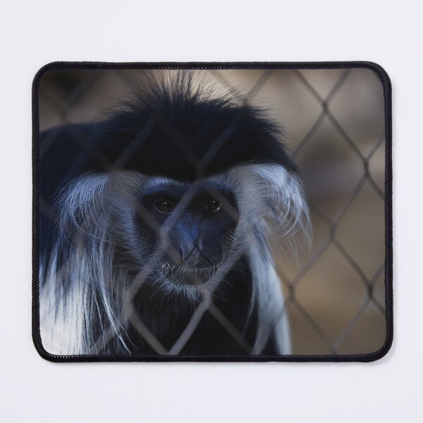 Item preview, The Angola Colobus Behind Prison Bars designed and sold by NatureSouvenirs.