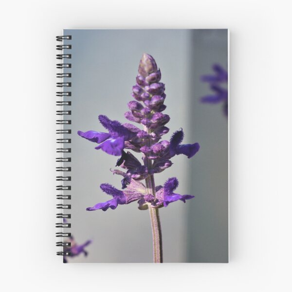 Item preview, Flower designed and sold by Thomas M Broderick.