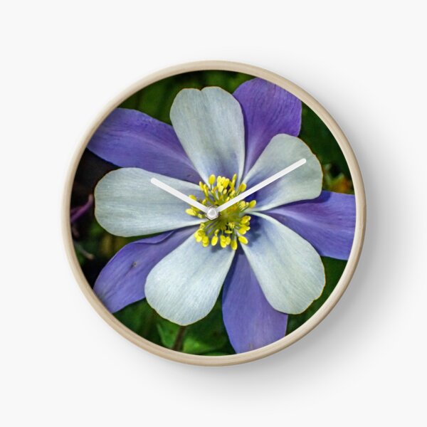 Blue Columbine Clock