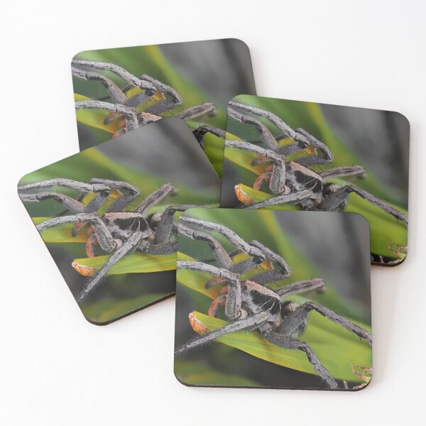 Item preview, Lycosa erythrognatha Spider in its Natural Habitat designed and sold by NatureSouvenirs.