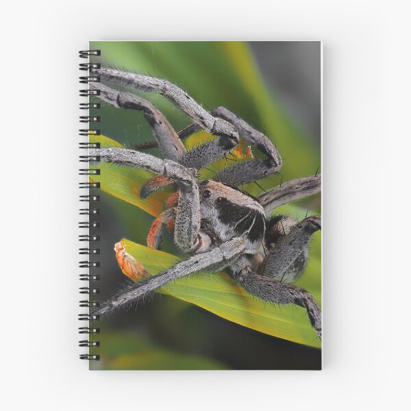 Item preview, Lycosa erythrognatha Spider in its Natural Habitat designed and sold by NatureSouvenirs.