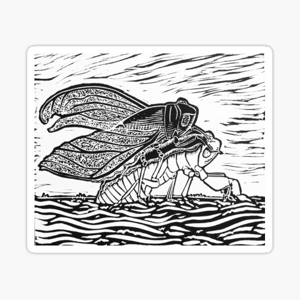 Emerging Cicada Sticker