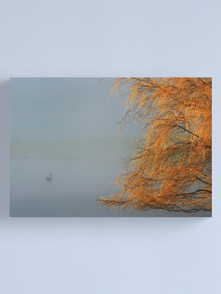 Alternate view of Swan Lake Canvas Print