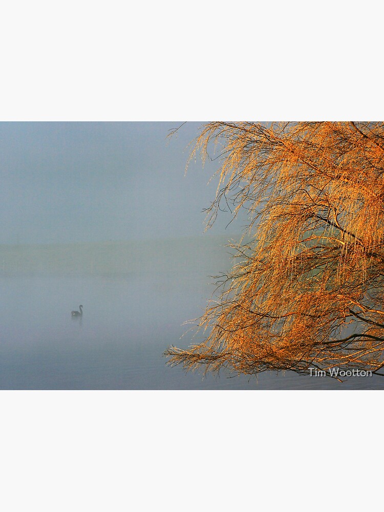 Swan Lake by wootton60
