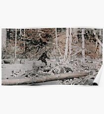 Bigfoot Poster