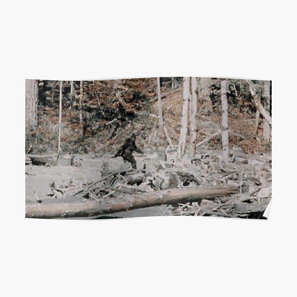 Bigfoot Poster