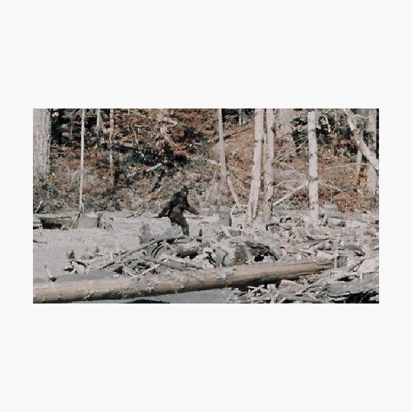 Bigfoot Photographic Print