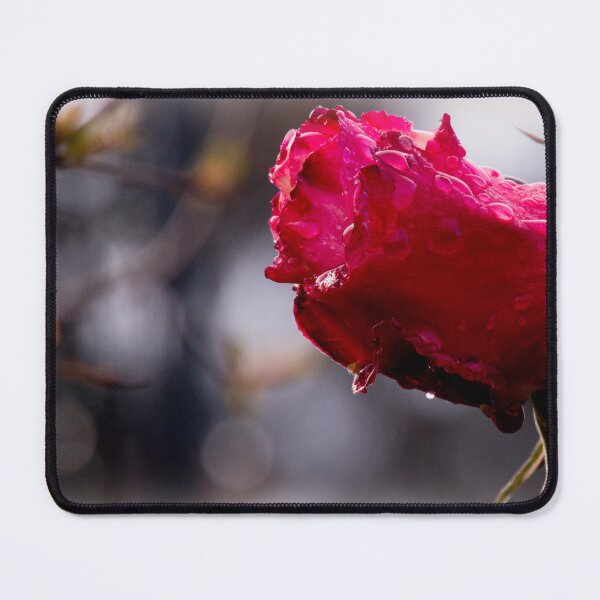 Item preview, Rosebud designed and sold by indiafrankk.