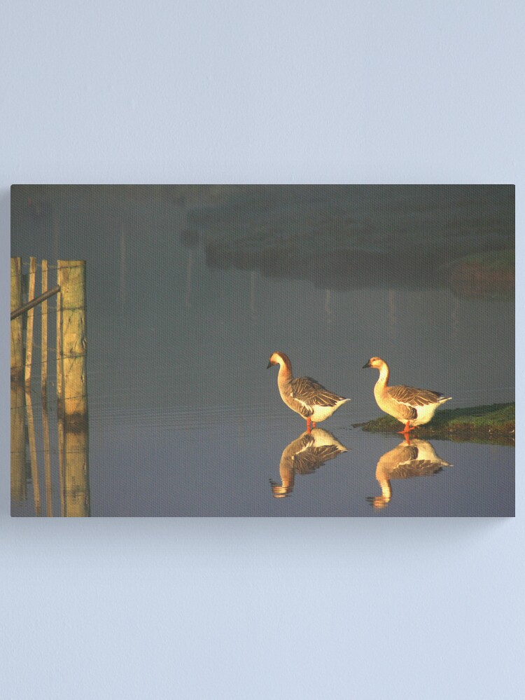 Alternate view of Early Morning Dip Canvas Print