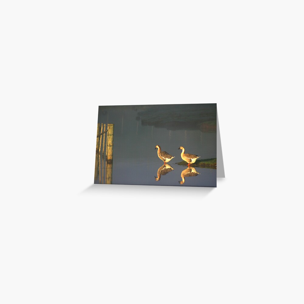 Item preview, Greeting Card designed and sold by wootton60.