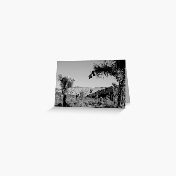 Joshua Tree Greeting Card
