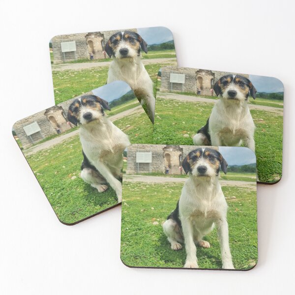 Item preview, Cute Dog Posing Outdoors in Summer designed and sold by Anastasia Kaneva.