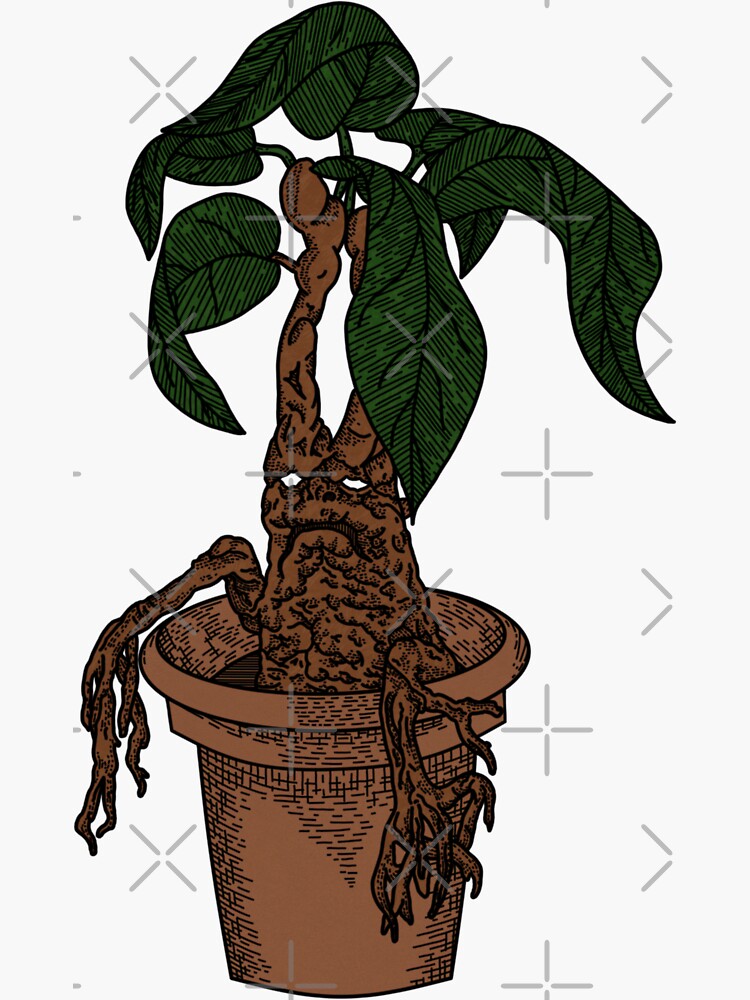 figurinhas mandrake V.1✓