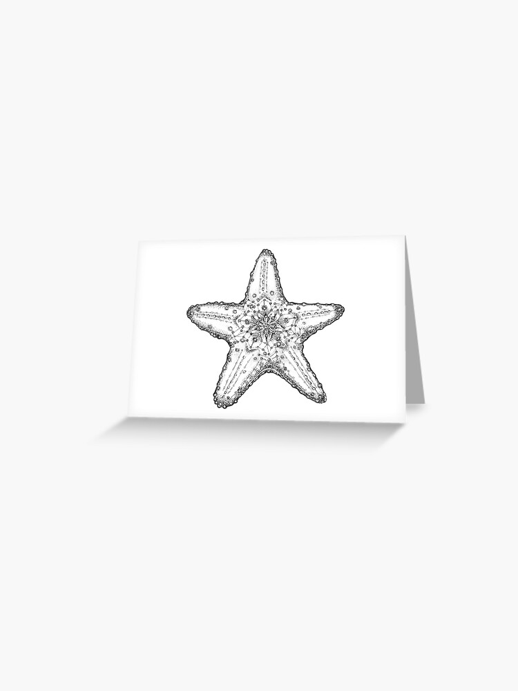 Black and white starfish drawing Greeting Card for Sale by Pencil-Art