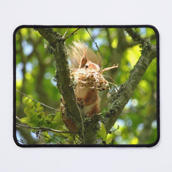 Item preview, Seeing red designed and sold by Wildlifespotter.