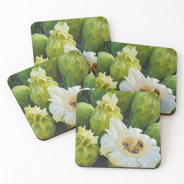 Item preview, Bees on a Saguaro flower Photo designed and sold by Willyboy16.