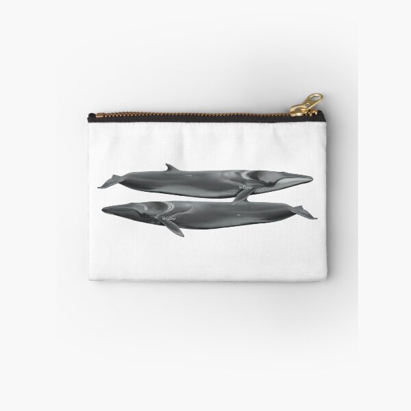 Item preview, Fin whales, scientific illustration  designed and sold by Ida Eriksson.