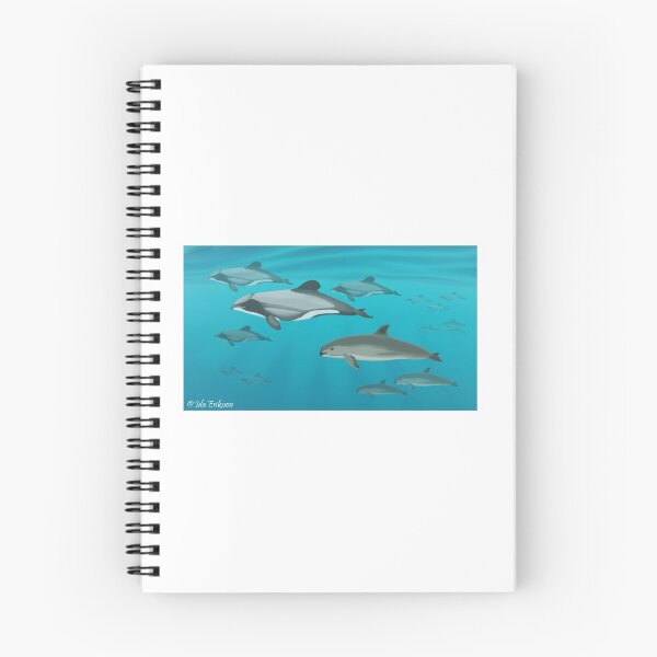 Artikelvorschau, Neuseeländischer Delfin und Vaquita entworfen und verkauft von Ida Eriksson.