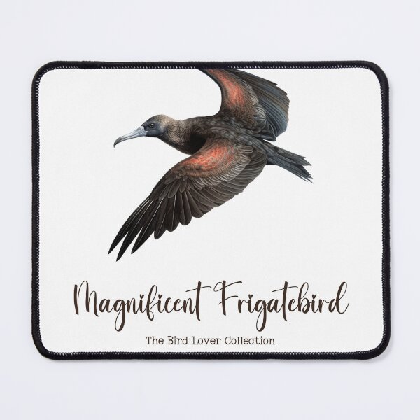 Item preview, Magnificent Frigatebird - The Bird Lover Collection designed and sold by GoodOldVintage.