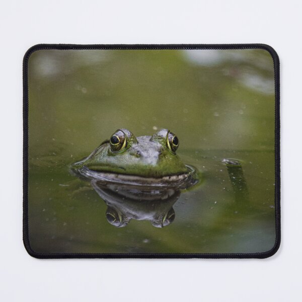 Item preview, Frog in da swamp  designed and sold by Adam Cunningham.