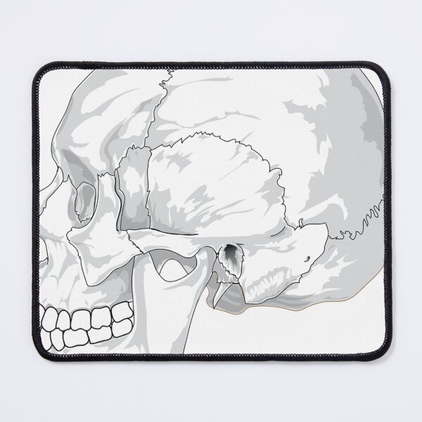 Item preview, Anatomy Skull designed and sold by Fashions-Banza.