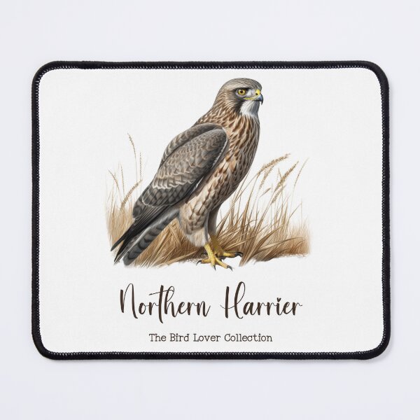 Item preview, Northern Harrier - The Bird Lover Collection designed and sold by GoodOldVintage.