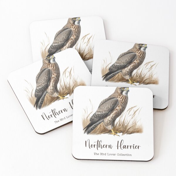 Item preview, Northern Harrier - The Bird Lover Collection designed and sold by GoodOldVintage.