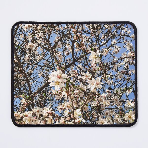 Item preview, Spring almond tree in bloom pattern designed and sold by Julianum.