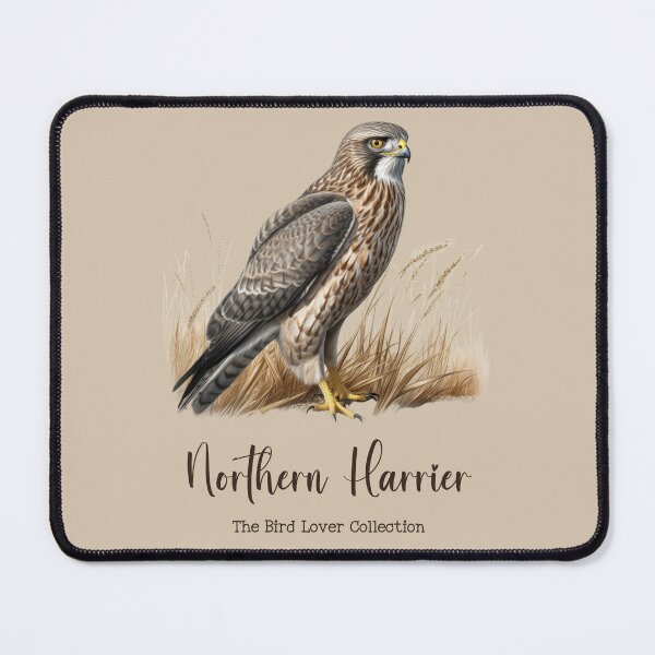 Item preview, Northern Harrier - The Bird Lover Collection designed and sold by GoodOldVintage.