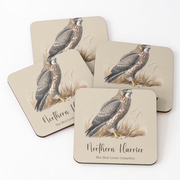 Item preview, Northern Harrier - The Bird Lover Collection designed and sold by GoodOldVintage.