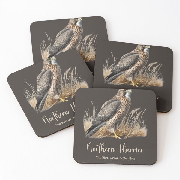 Item preview, Northern Harrier - The Bird Lover Collection designed and sold by GoodOldVintage.