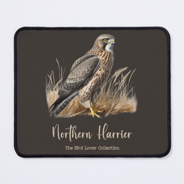 Item preview, Northern Harrier - The Bird Lover Collection designed and sold by GoodOldVintage.